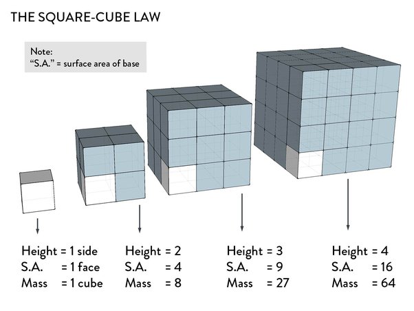 The Square-Cube law - Sketchplanations